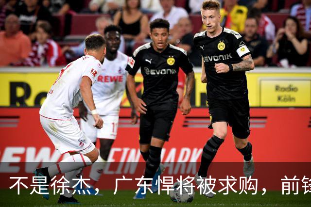 不是徐杰，广东悍将被求购，前锋，杜锋看重，转会费或8位数